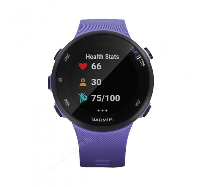 Часы Garmin Forerunner 45S ирис, 100136, от производителя Garmin