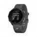 Часы Garmin Forerunner 245 черные с серым ремешком, 100137, от производителя Garmin