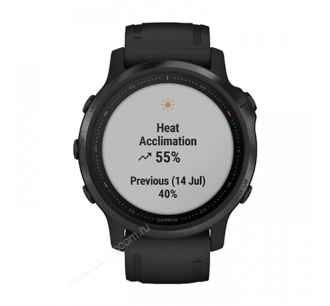 Часы Garmin Fenix 6S Pro черный с черным ремешком, 100123, от производителя Garmin