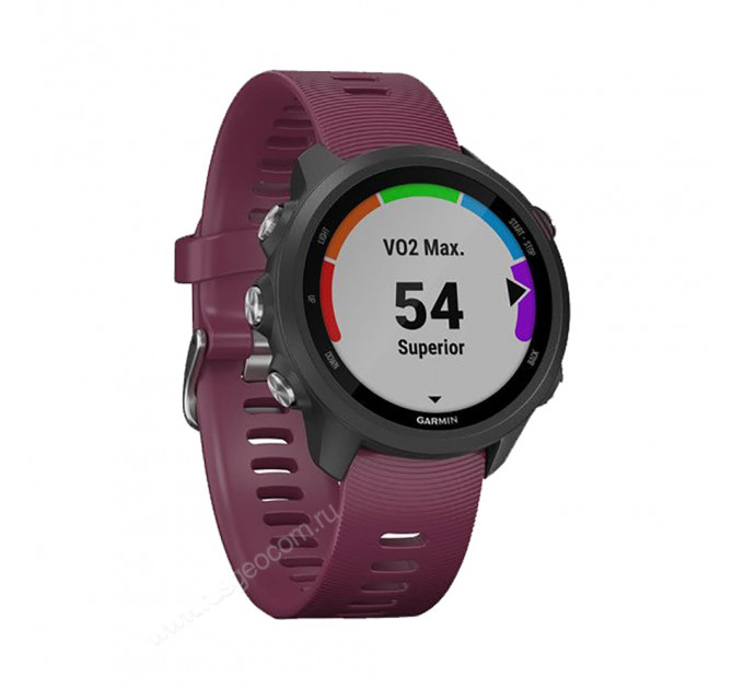 Часы Garmin Forerunner 245 черные с вишневым ремешком, 100150, от производителя Garmin