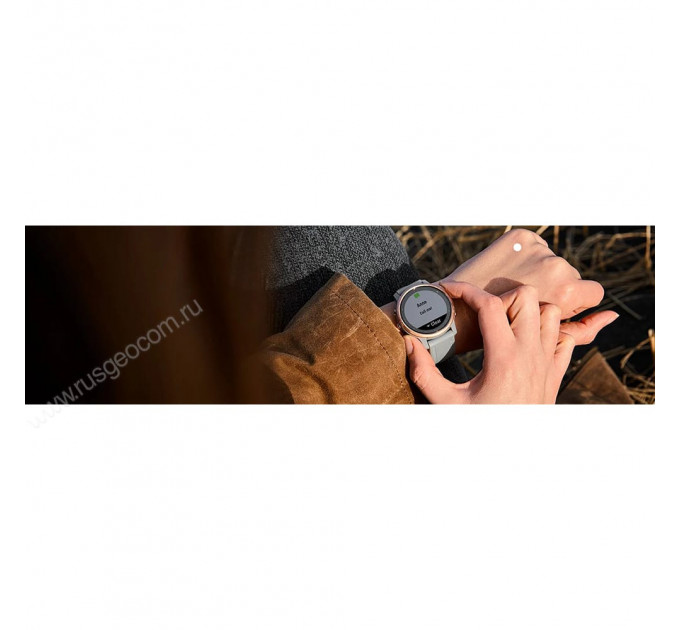 Часы Garmin Fenix 6S Pro черный с черным ремешком, 100123, от производителя Garmin