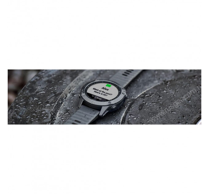 Часы Garmin Fenix 6 Pro черные с черным ремешком, 100111, от производителя Garmin