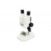 Микроскоп стереоскопический Celestron LABS S20, бинокулярный, 75247, от производителя Celestron