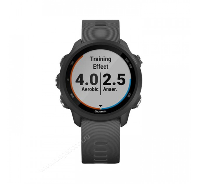 Часы Garmin Forerunner 245 черные с серым ремешком, 100137, от производителя Garmin