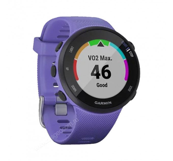 Часы Garmin Forerunner 45S ирис, 100136, от производителя Garmin