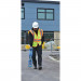 Трассоискатель Radiodetection RD7200, 103494, от производителя Radiodetection