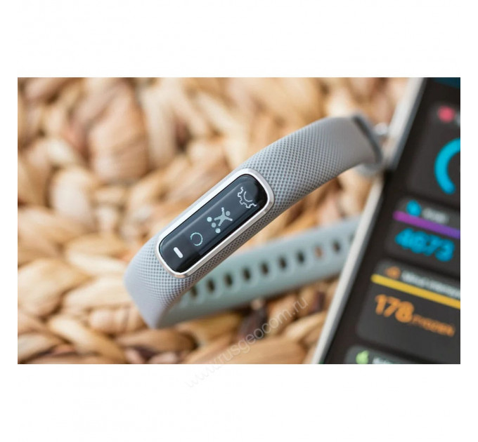 Фитнес-браслет Garmin Vivosmart 4 серебристые, 96447, от производителя Garmin