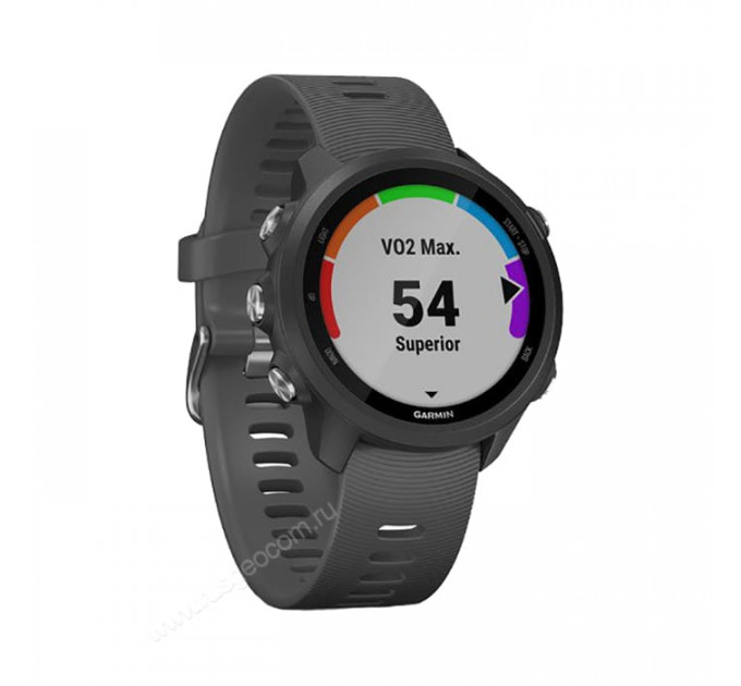 Часы Garmin Forerunner 245 черные с серым ремешком, 100137, от производителя Garmin