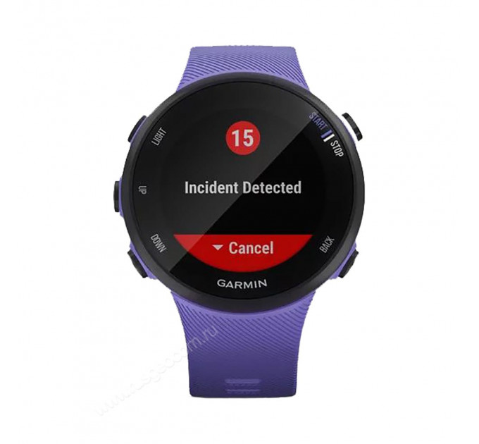 Часы Garmin Forerunner 45S ирис, 100136, от производителя Garmin