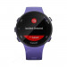 Часы Garmin Forerunner 45S ирис, 100136, от производителя Garmin