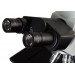 Микроскоп Bresser Science MTL-201, 62569, от производителя BRESSER